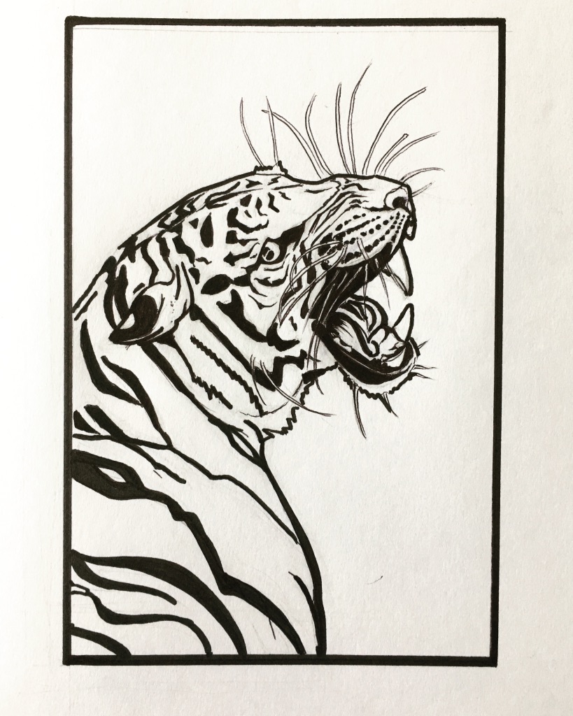 Ink drawing of a roaring tiger — print available